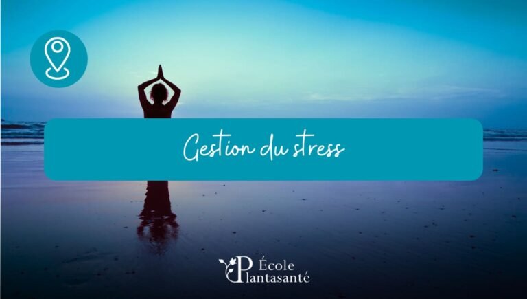 Formation En Gestion Du Stress Plantasant