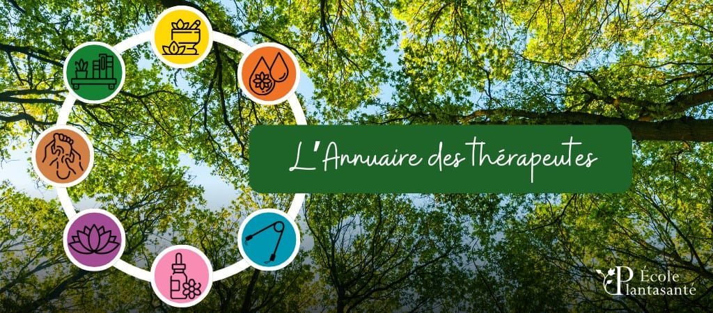 bannière annuaire bannière annuaire