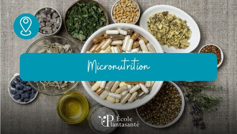 Formation en Micronutrition
