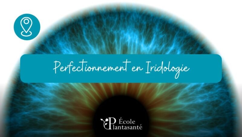 Formation en Iridologie (Perfectionnement)