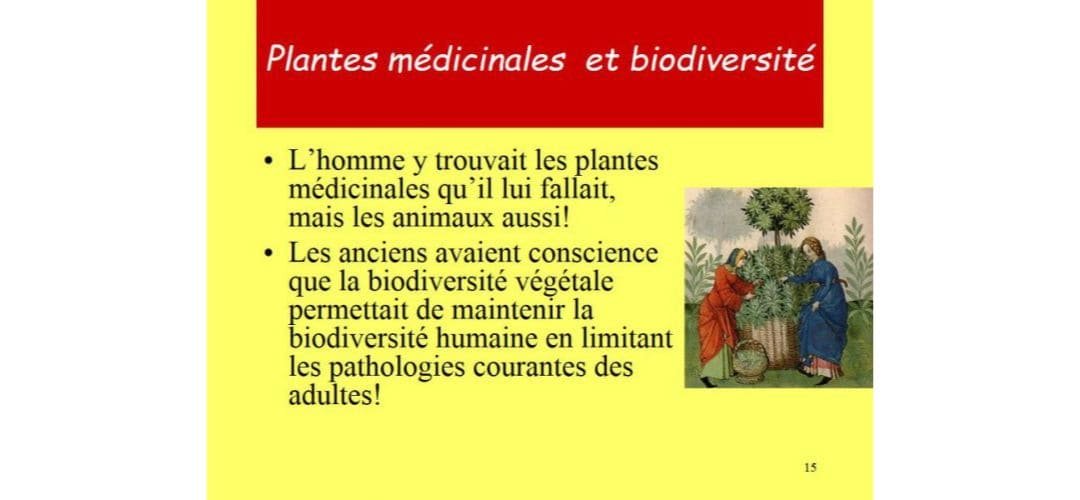 You are currently viewing Petits dialogues sur la biodiversité (Editorial d’avril-mai 2010)