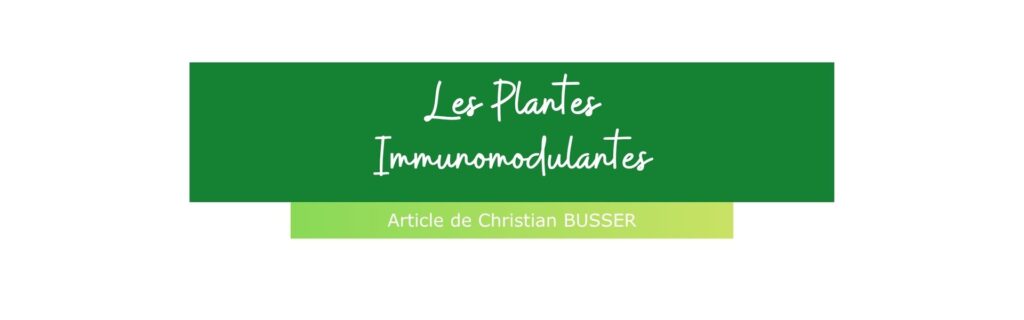 Lire la suite à propos de l’article Les Plantes et Substances Immunomodulantes