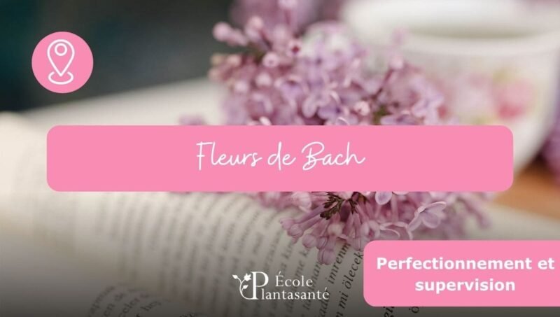 Fleurs de Bach Perfectionnement et Supervision