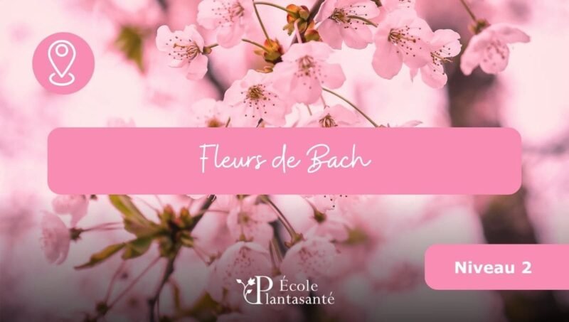 Formation Fleurs de Bach Niveau 2