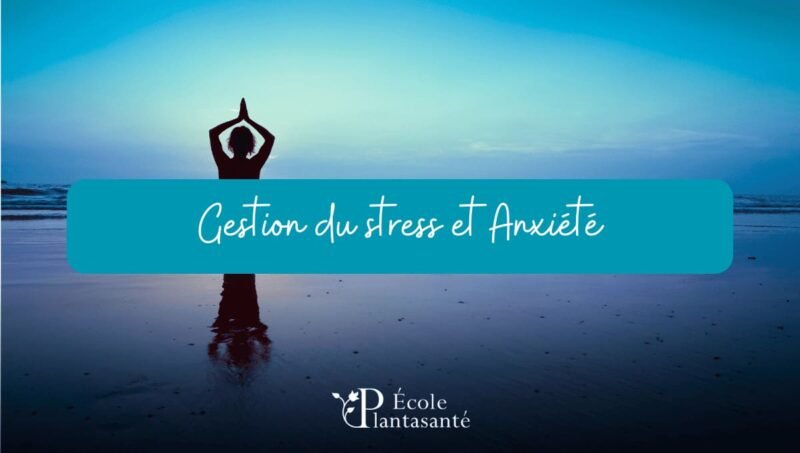 Formation en Gestion du Stress