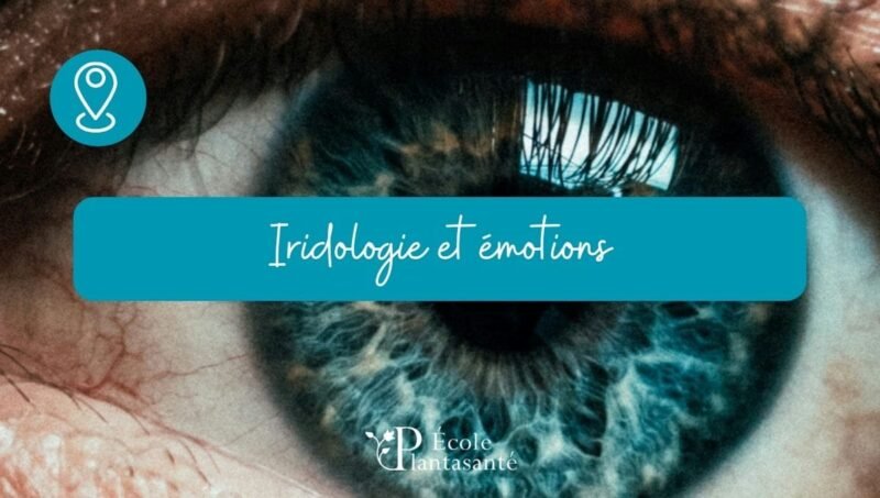 Formation iridologie et émotions