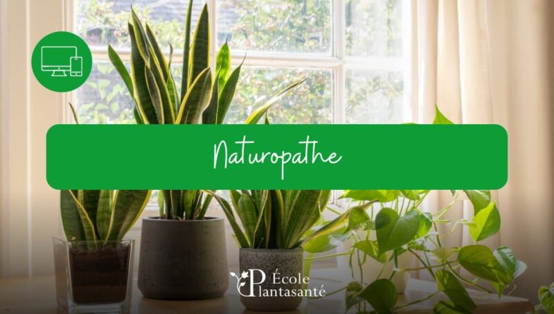 Formation Naturopathe à Distance