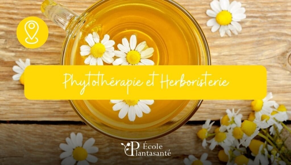 visuel de la formation en phytohérapie