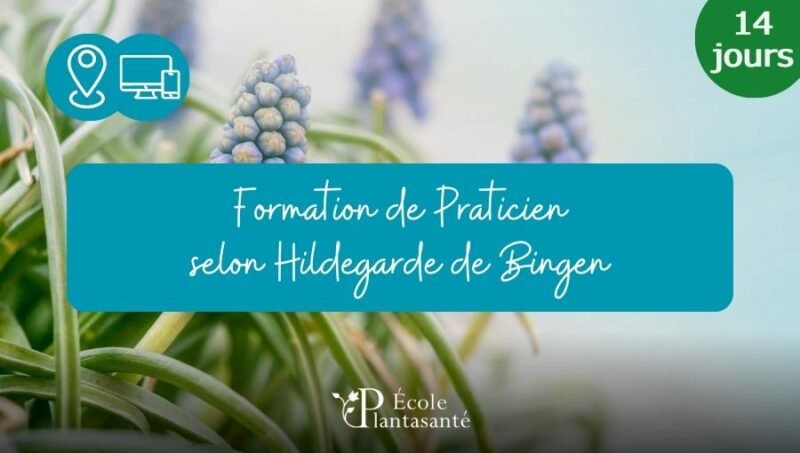 Formation Hildegarde de Bingen (14 jours)