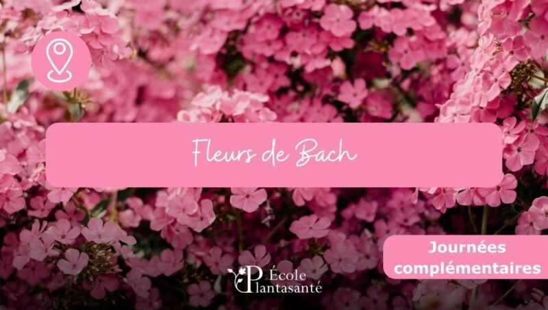 Fleurs de Bach (Journées Complémentaires)